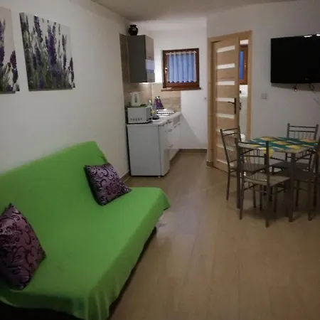 Apartament Dwupoziomowy U Samkow Zakopane Exterior photo